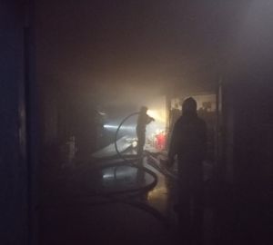 В Пензе пожар на Аустрина тушили 36 человек