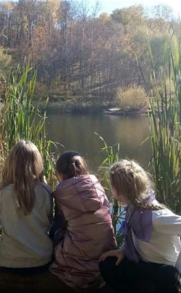 При работе над проектом «Экопарка «Ласточкины горы» учтут пожелания пензенцев