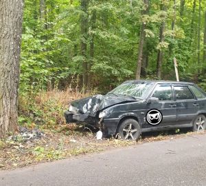 Очевидцы сообщили о разбитой брошенной машине, стоящей посреди леса под Пензой