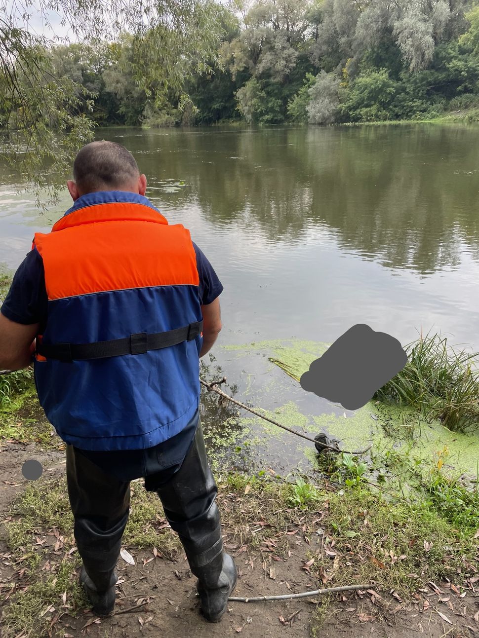 Появилось фото с места обнаружения трупа в Бессоновском районе