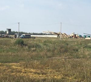 В Пензенской области ввели карантин по опасному заболеванию сельхозрастений