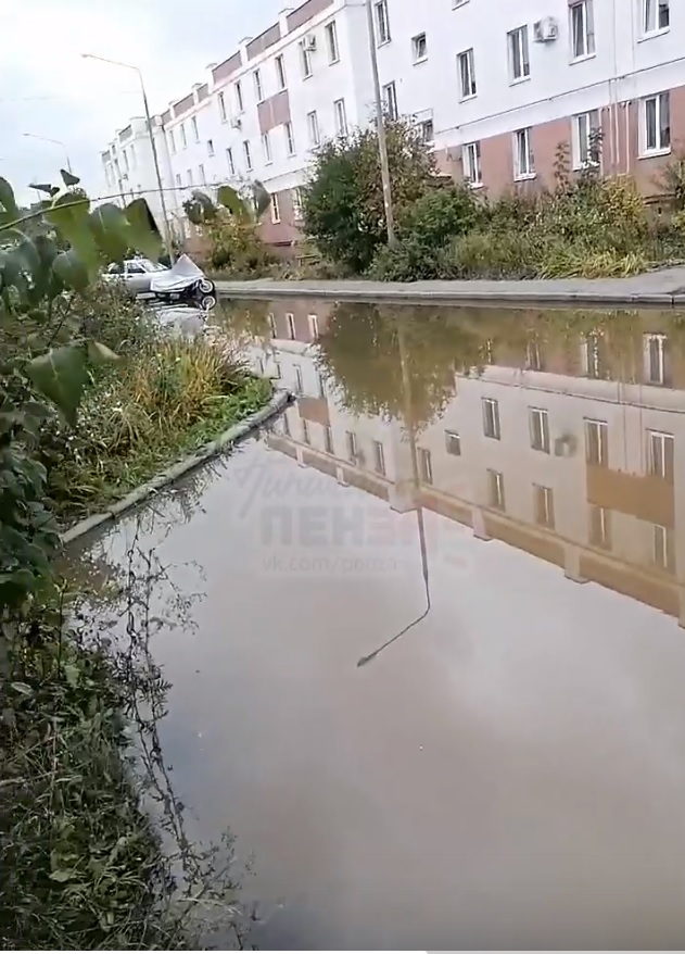 Пензенцев, живущих на улице Долгорукова, призвали покупать лодки