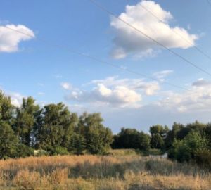 Следователи организовали проверку по факту смерти рыбака от удара электротока