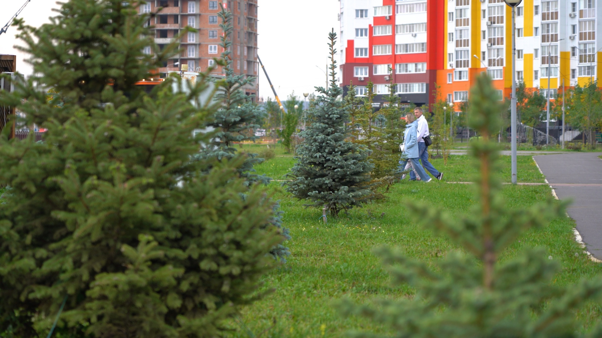 Парк Спутника весной порадует новыми аллеями
