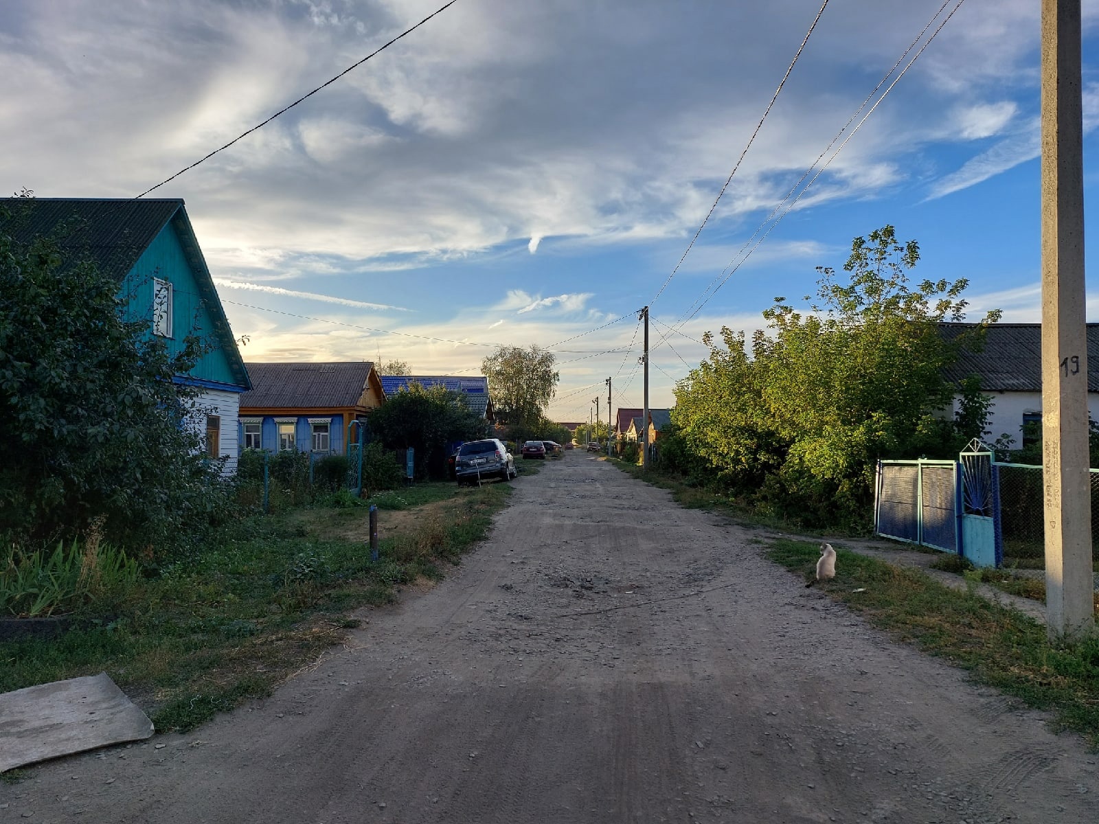 В Спасском районе ничего не делали с участком, заросшим наркотическим растением