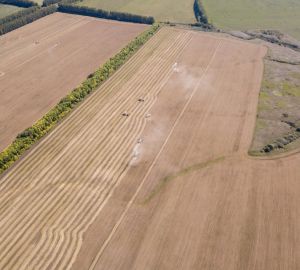 В 2022 году сельхозорганизации Пензенской области заработали более 5 млрд рублей