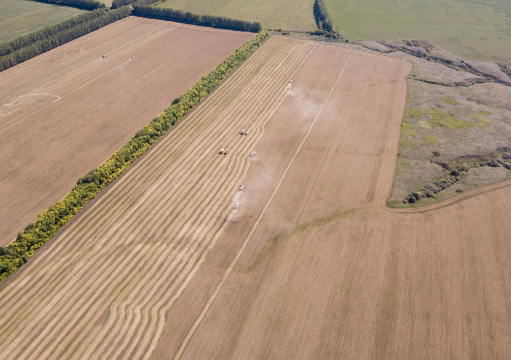 В 2022 году сельхозорганизации Пензенской области заработали более 5 млрд рублей