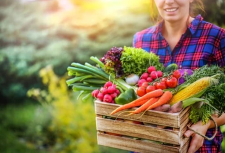 Врачи рассказали, какое растение так же полезно, как говядина