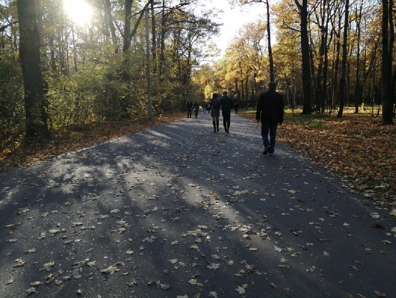 В Парке имени Белинского появится водный каскад и новые смотровые площадки