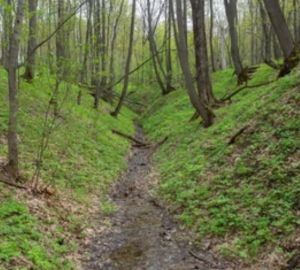 3 года заключения грозит жителю Пензенской области за наркотик из оврага