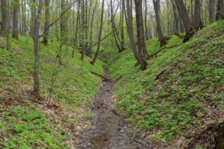 3 года заключения грозит жителю Пензенской области за наркотик из оврага