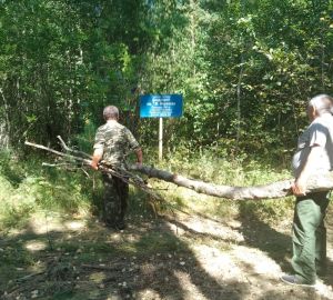 В Пензенской области началось восстановление дендрария имени Г.Ф. Морозова