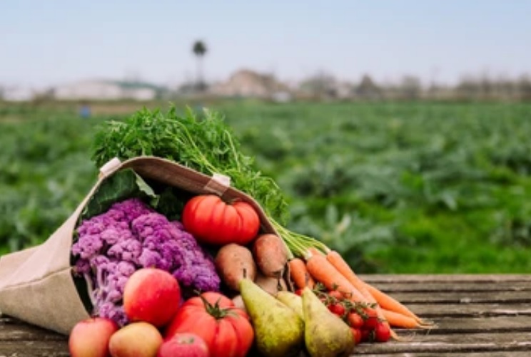 В Бессоновском районе зафиксировано падение цен на овощи до 9,2%