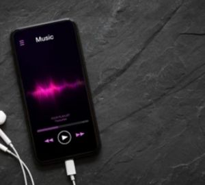 Пензячка вытащила телефон москвича из оставленного им пакета