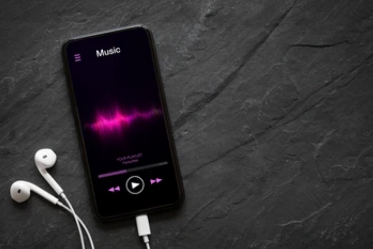 Пензячка вытащила телефон москвича из оставленного им пакета