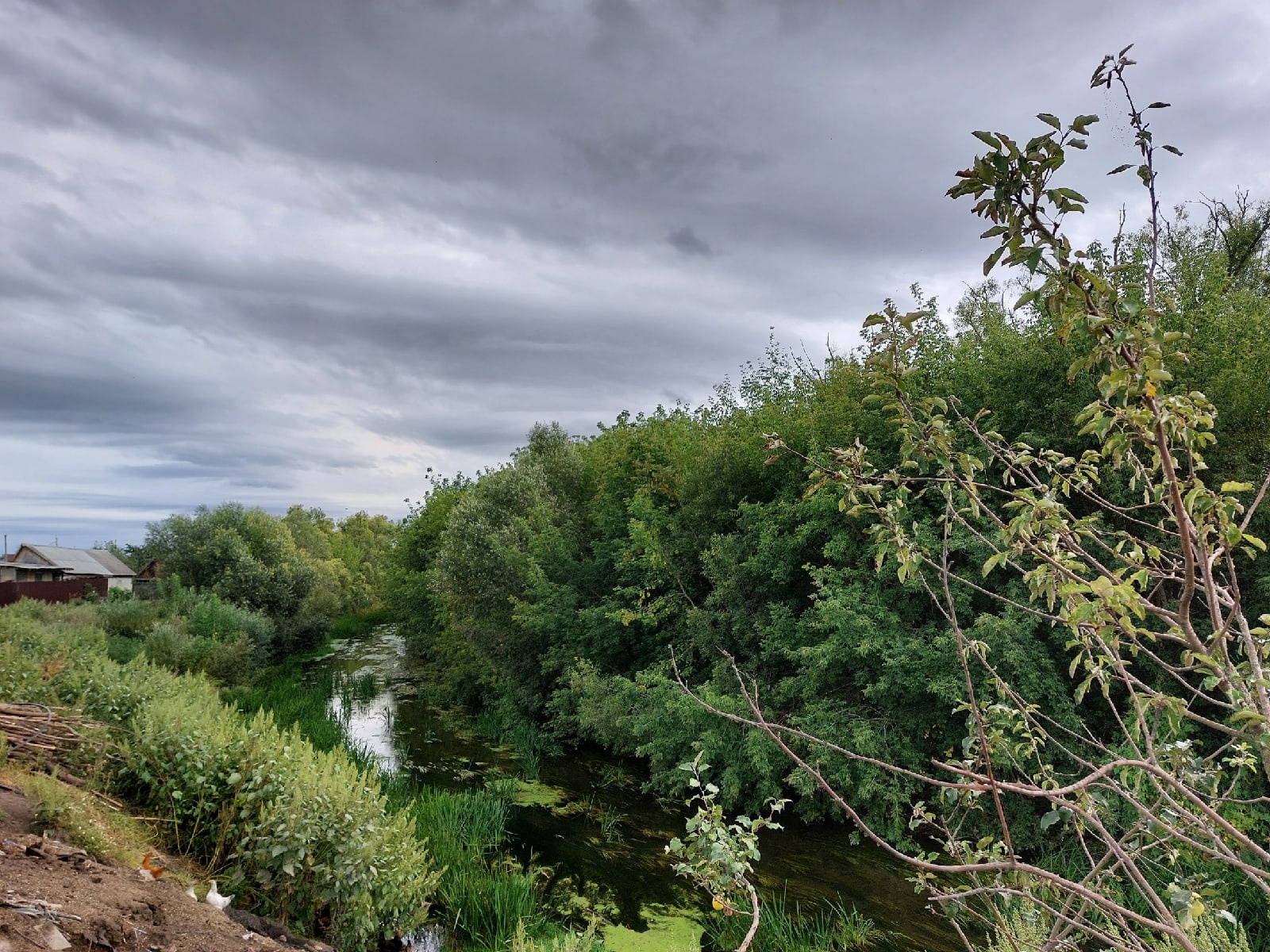 Пензенцев приглашают посоревноваться в уборке мусора