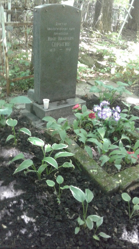 В Пензе разорили могилу ботаника Ивана Спрыгина на Митрофаньевском кладбище