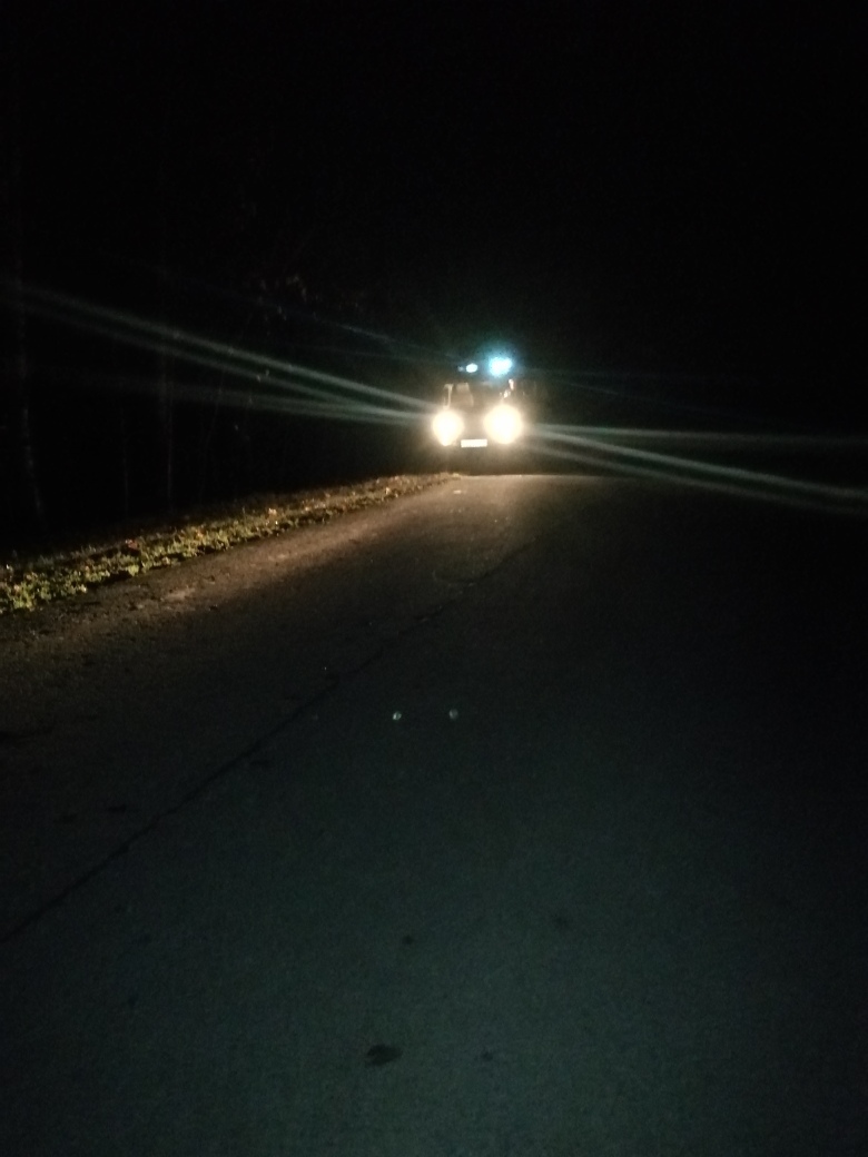 В Пензенской области в лесу потерялись две любительницы тихой охоты