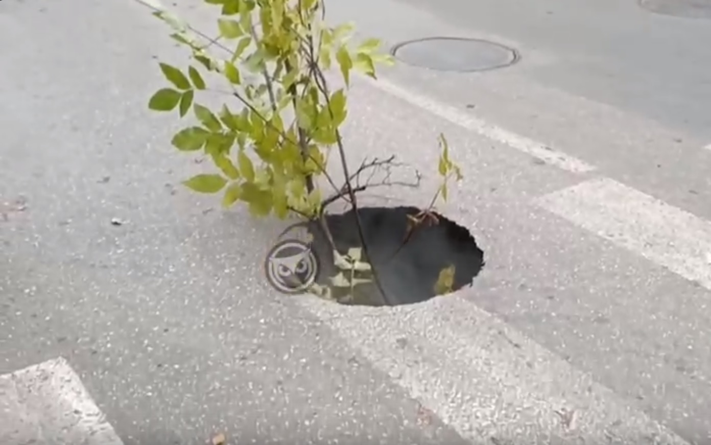 В Пензе на пешеходном переходе у школы появилась бурлящая яма