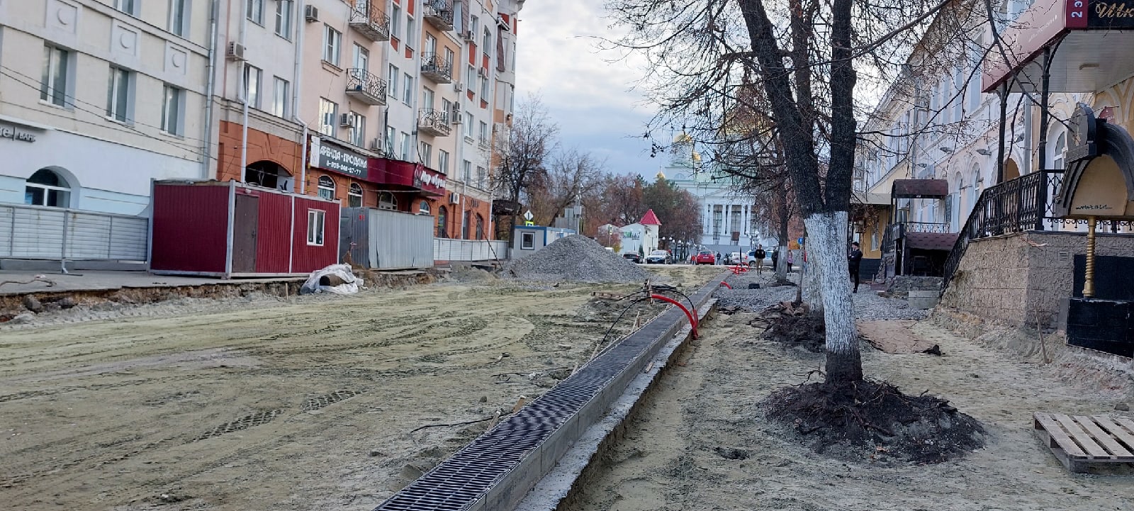 В Пензе арендаторов земли планируют заставить сажать деревья взамен срубленных