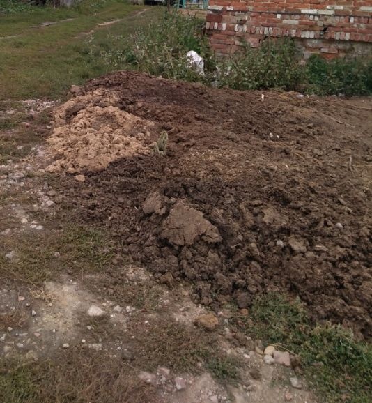 В Каменском районе личное подсобное хозяйство оказалось загрязнено фекалиями свиней