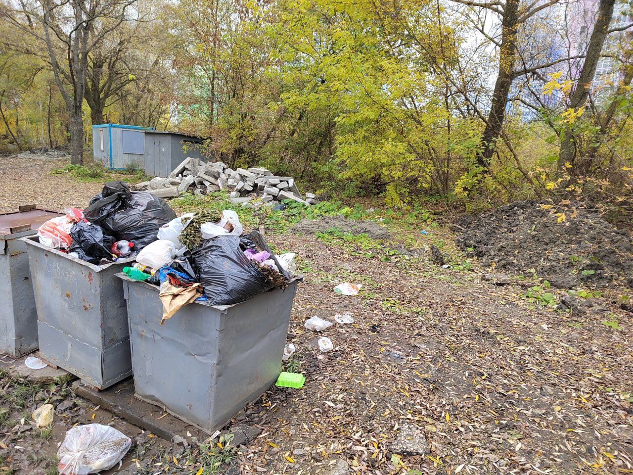 В Пензе на пляже ГПЗ завелись крысы