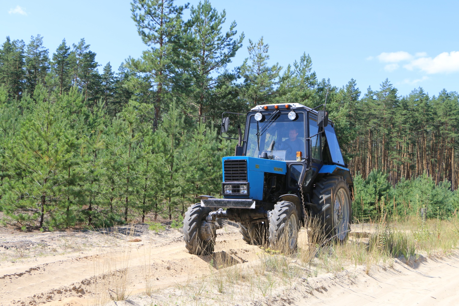 В Пензенской области установили более 700 шлагбаумов на въезде в леса