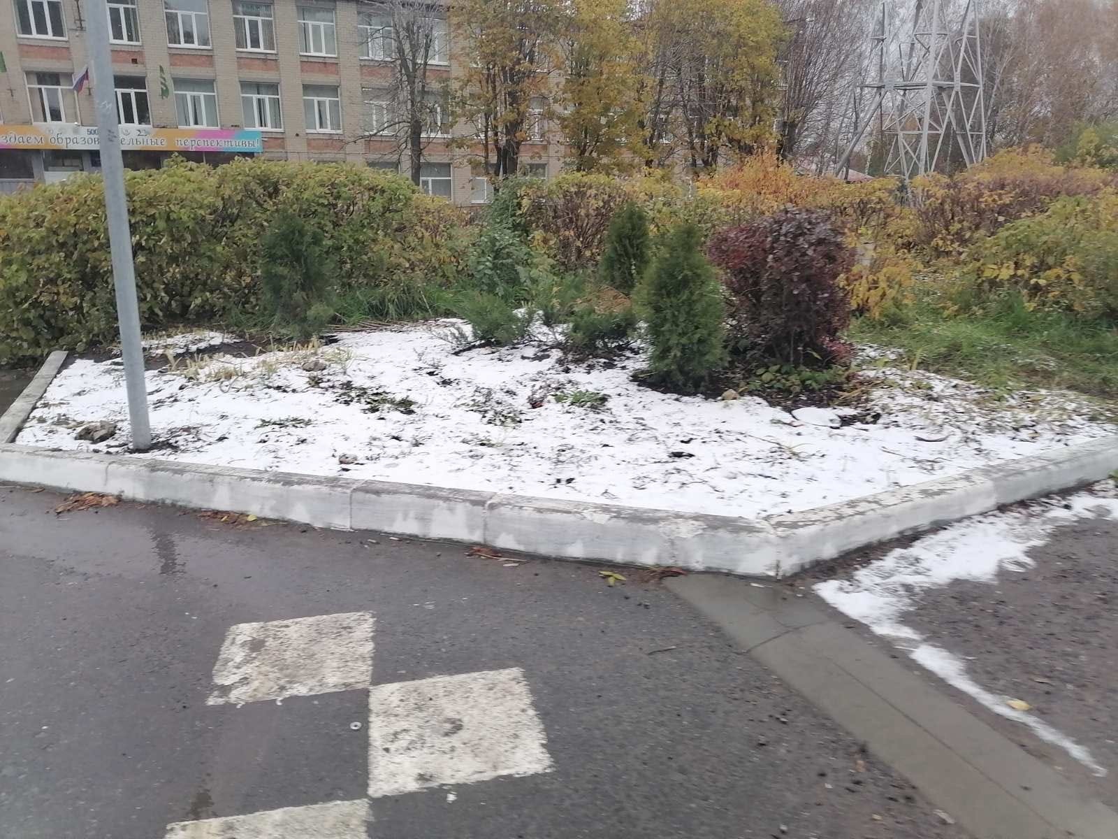 В Пензе выпал первый снег