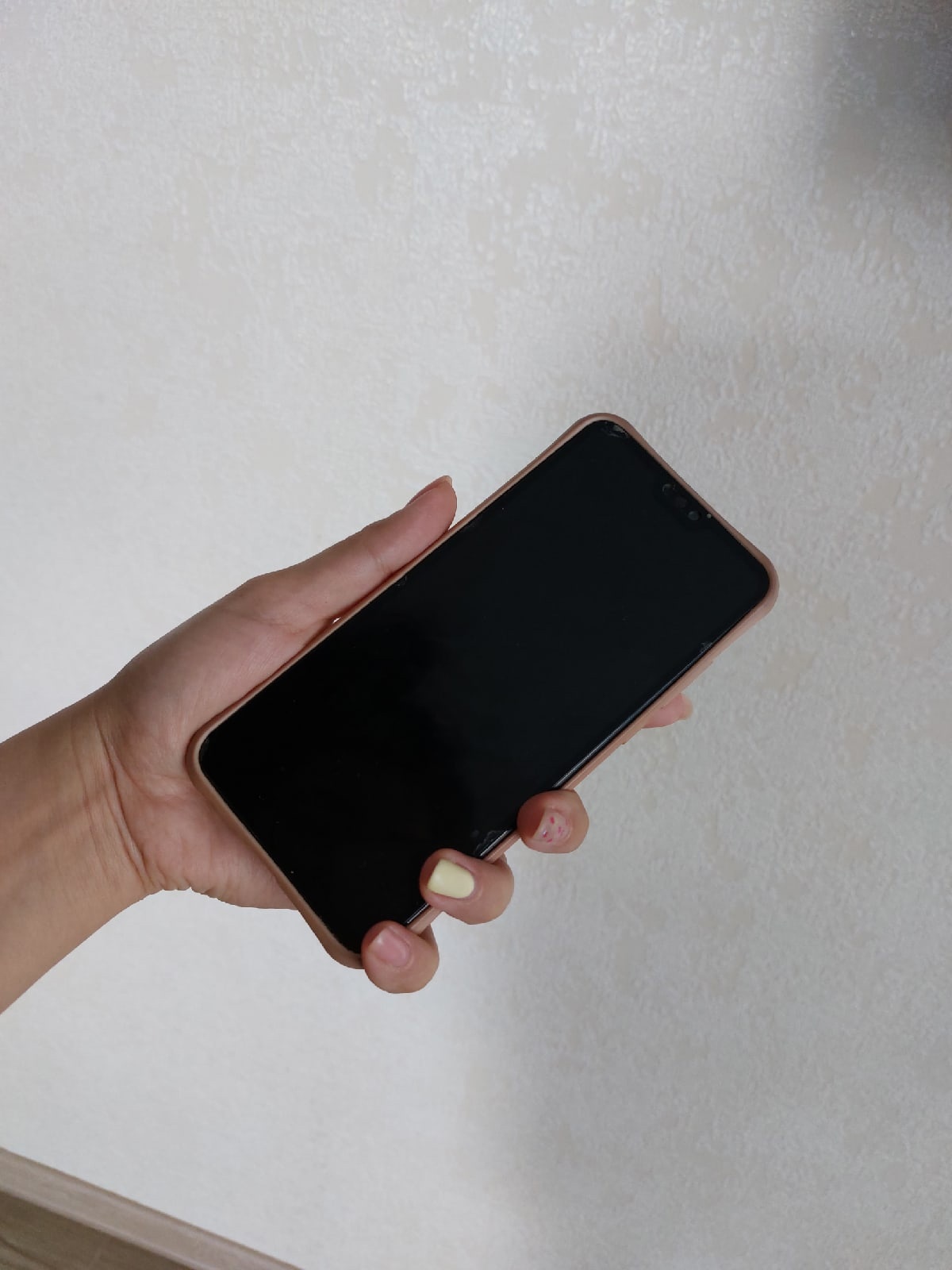 В Минпросвещения опровергли информацию о запрете пользоваться WhatsApp