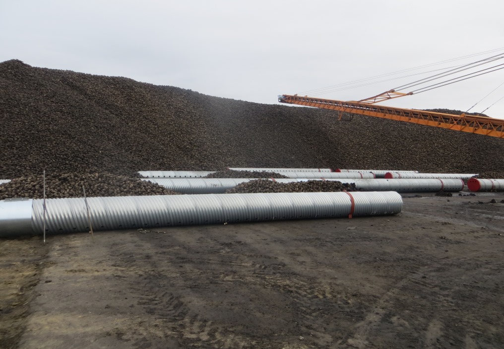 В Пензенской области аграрии собрали более миллиона тонн сахарной свеклы