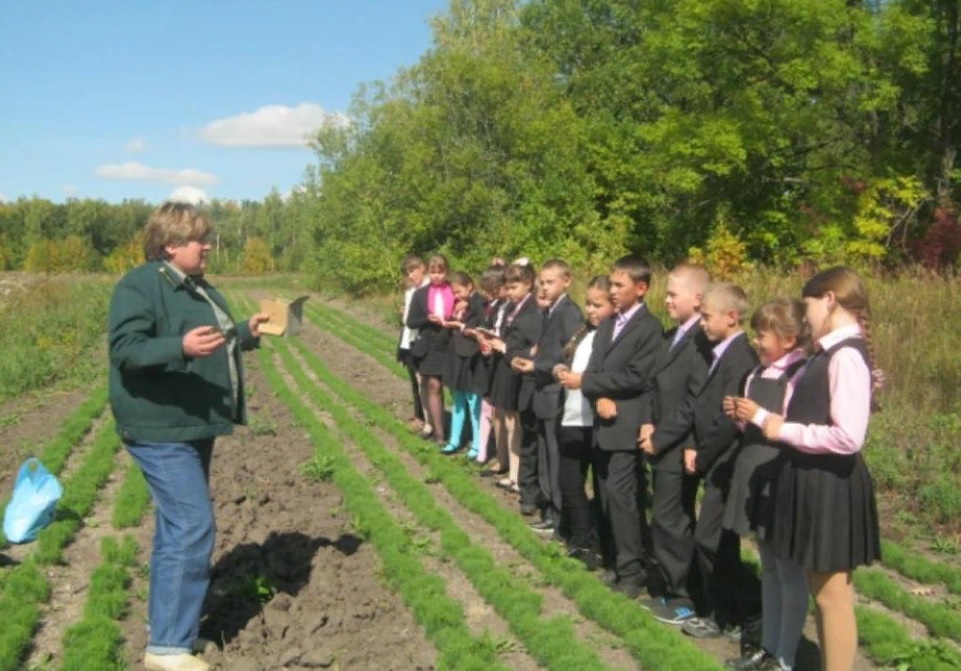 В Пензенской области члены школьных лесничеств посадили почти 9000 деревьев
