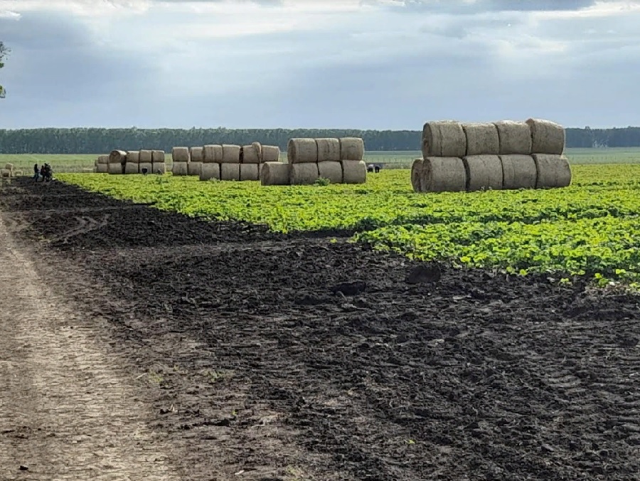 В селах Пензенской области в основном проживают женщины трудоспособного возраста