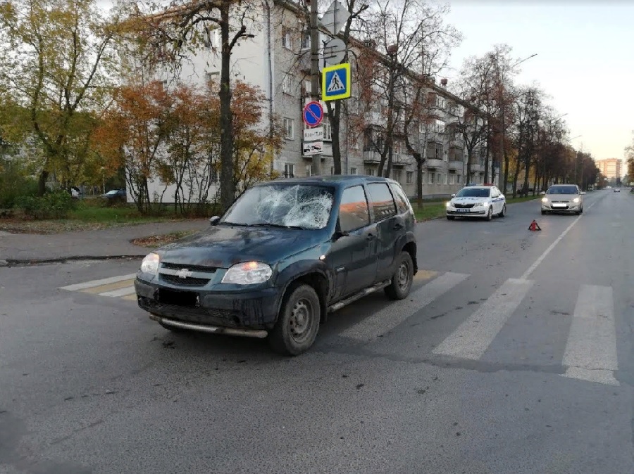 В Заречном появление лося на дороге стало причиной ДТП