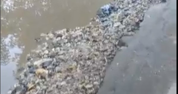 Пензячка пожаловалась на отсутствие хорошей дороги на улице Фурманова