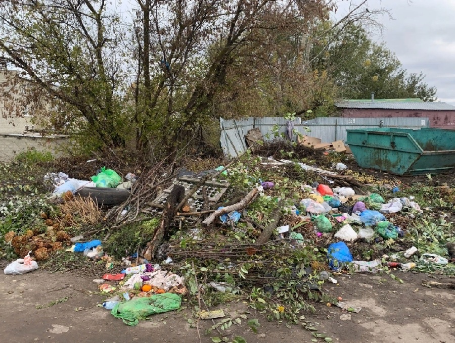 В Пензенской области жители Белинского пожаловались на свалки по всему городу