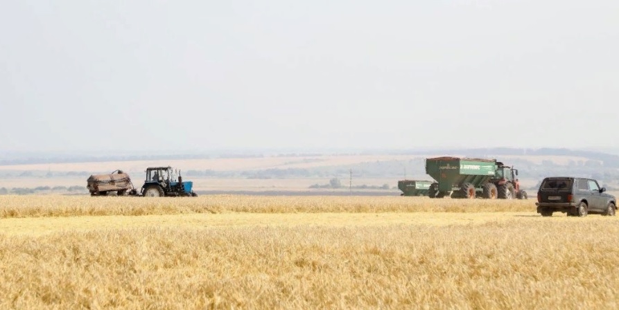 Пензенская область заняла первое место в ПФО по урожайности зерна