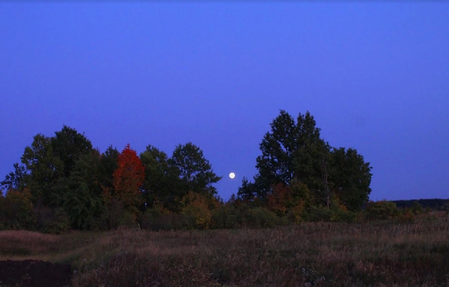 В Кузнецком районе ищут родственников замерзшего мужчины, который ночевал в поле