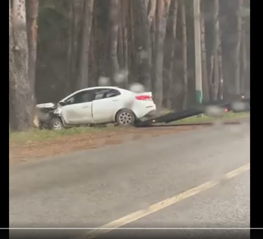 В Пензе иномарка слетела с дороги и разбилась о дерево при повороте на Бугровку