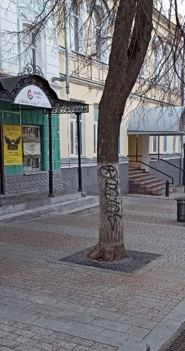 В Пензе вандалы испортили вид улицы Московской