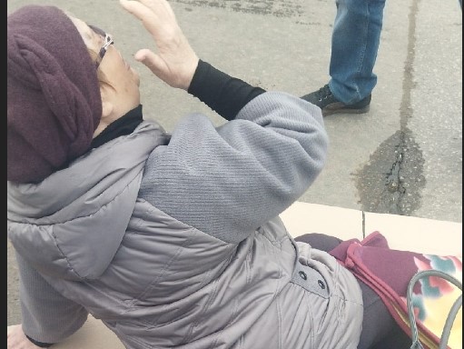 В Пензе жительница Зари сломала ногу из-за двух бродячих собак