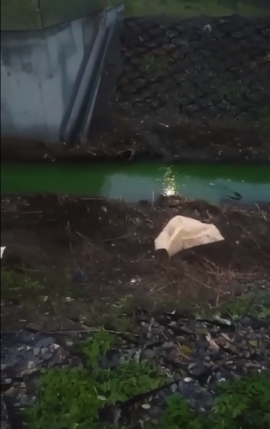 Пензенцев поразил ярко-зеленый ручей, текущий вдоль проспекта Строителей