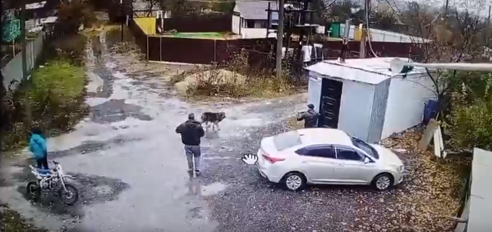 В соседнем от Пензы регионе двое мужчин расстреляли собаку на глазах у ребенка