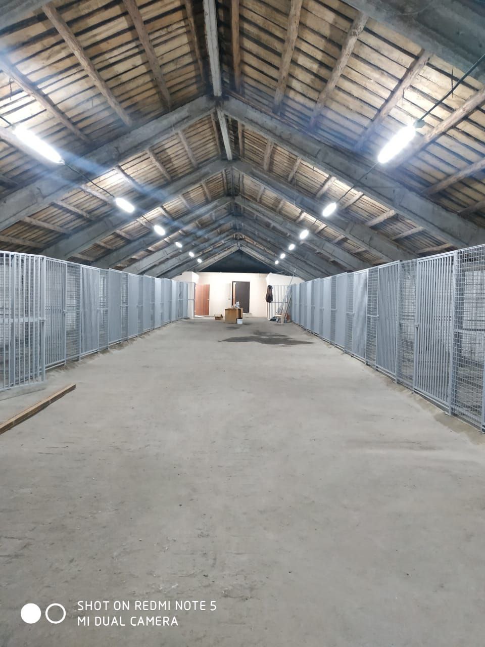 В Нижнеломовском районе откроется приют для бездомных животных