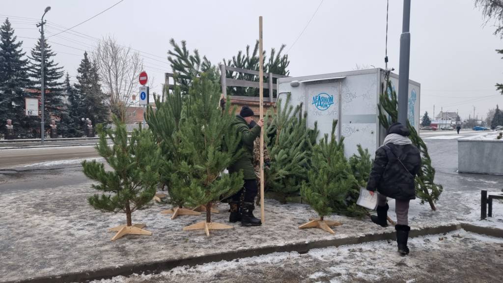 В Сердобске для горожан откроют 11 елочных базаров