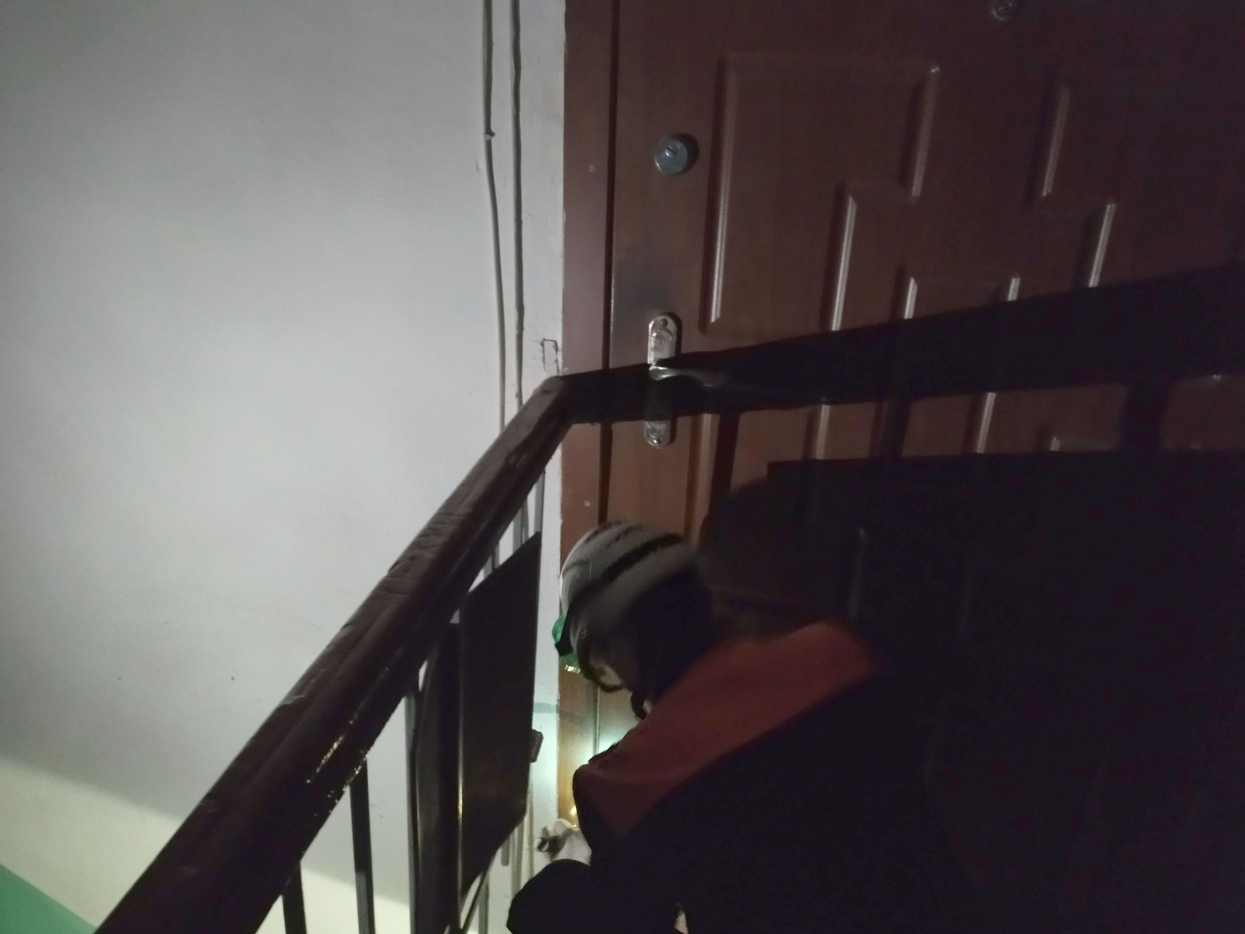 В Пензе спасатели за сутки дважды вскрывали двери запертых квартир