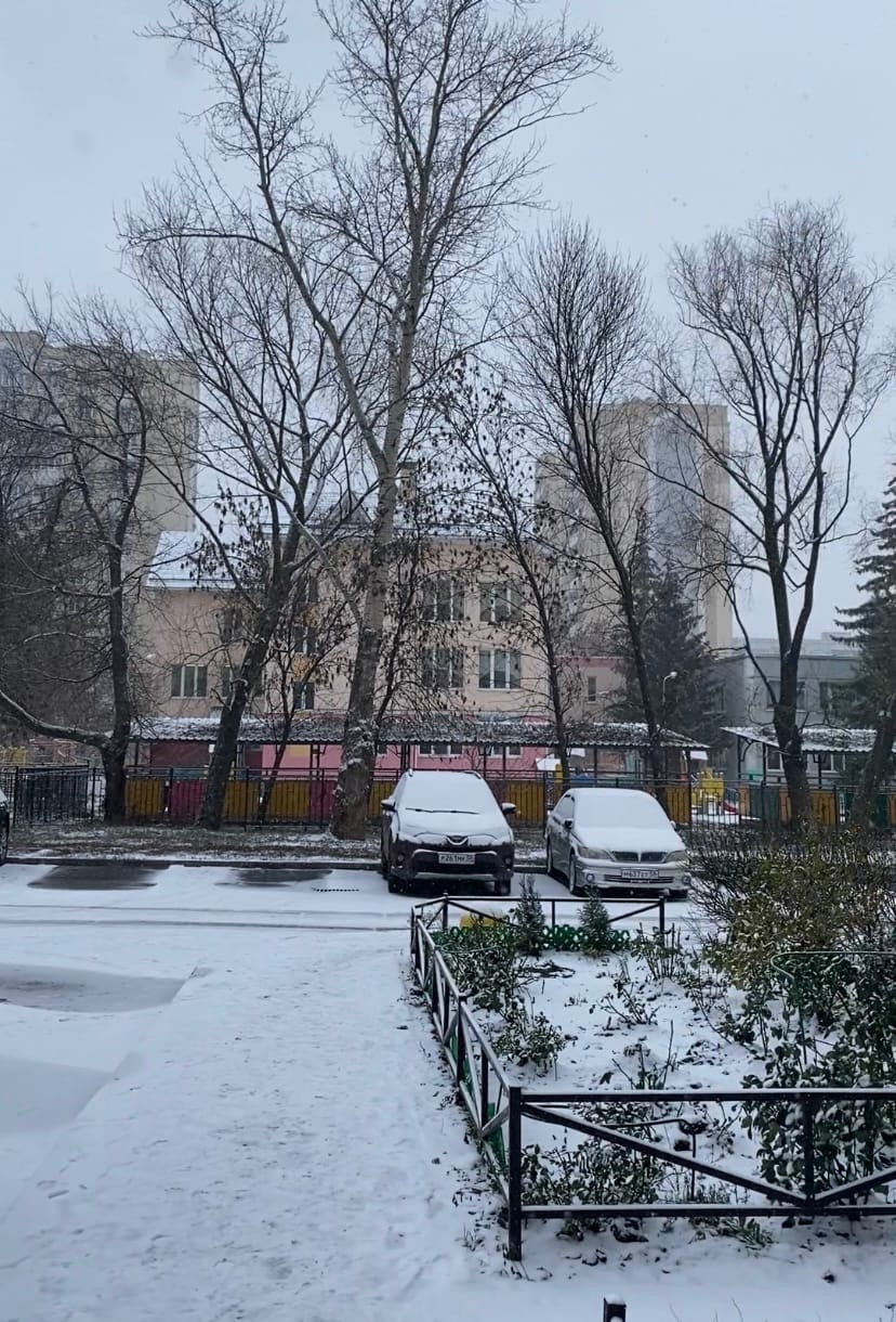 В Пензенской области с последствиями снегопада борются более 100 спецмашин