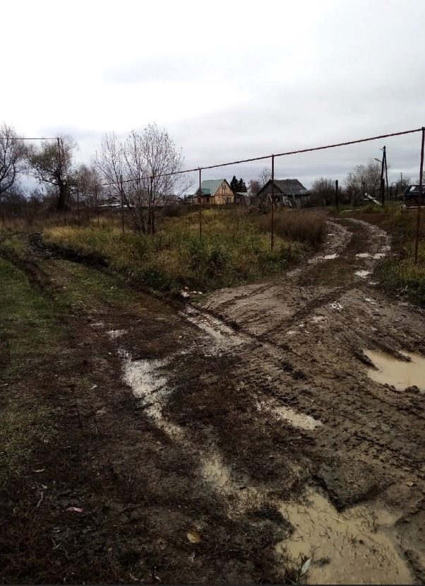 Дорожное месиво в Пензенском районе оценит сотрудник администрации