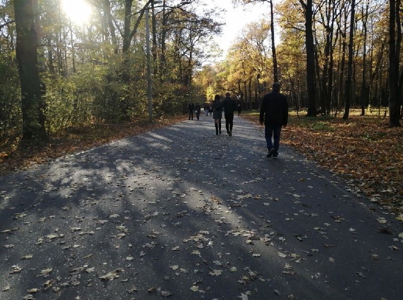 Жителям Пензы пояснили, где найти туалет на Олимпийской аллее