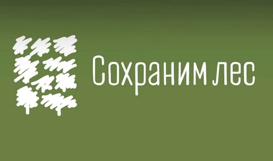 В Пензе 20 ноября телебашня загорится зеленым светом в поддержку акции «Сохраним лес»