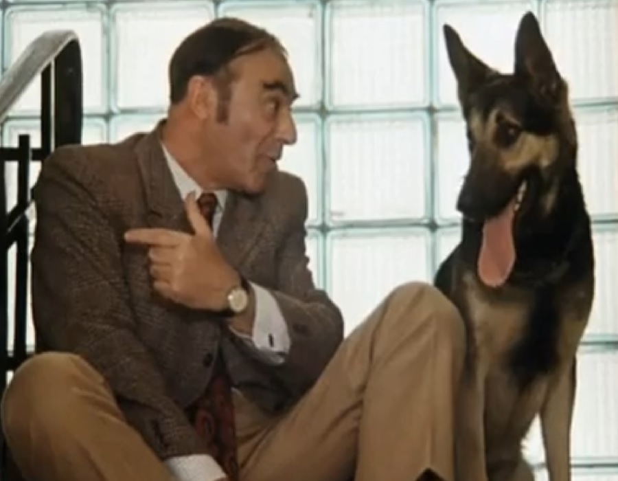 В Башмаковском районе сосед регулярно обчищал дом односельчанина